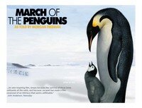March of the penguins