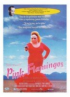 Pink flamingos
